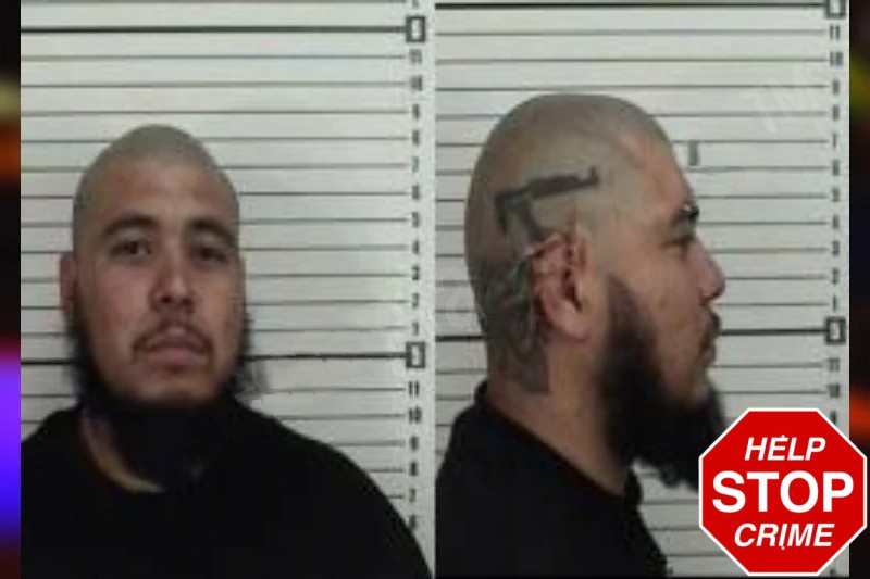 Ernesto Rocha Mugshots