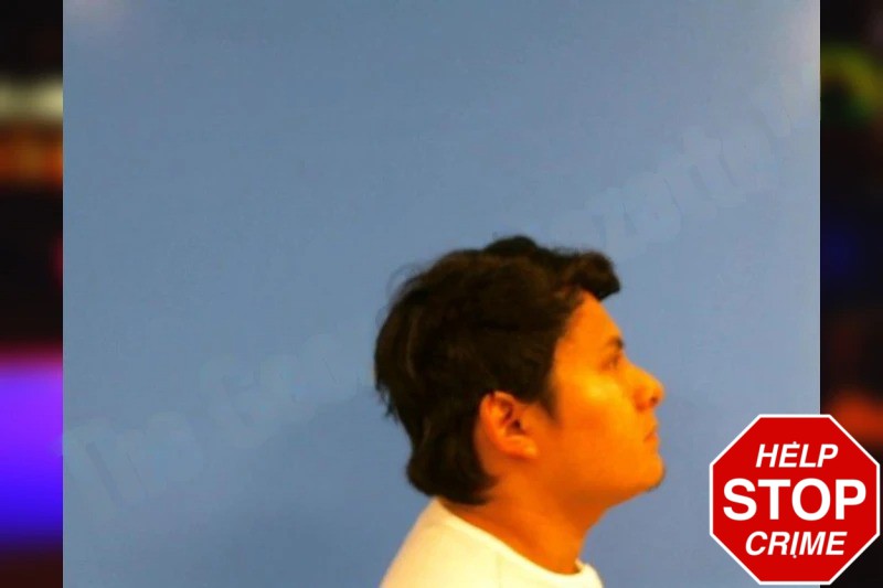 Ervin Manuel Mugshots