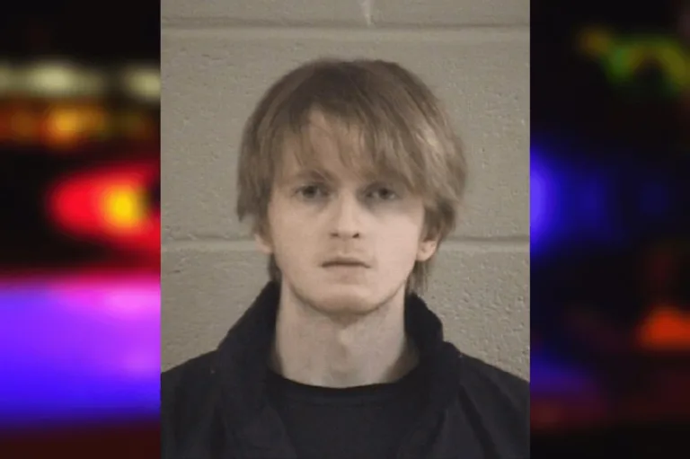 Ethan Brown mugshot – Whitfield County , Georgia Ethan Brown