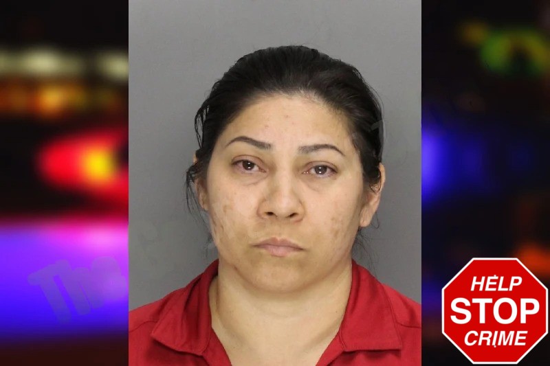 Evelyn Carcamo Mugshots