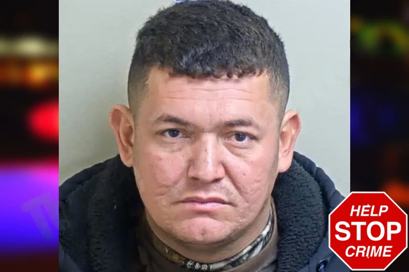 Ever Dominguez-Torrealba Mugshots