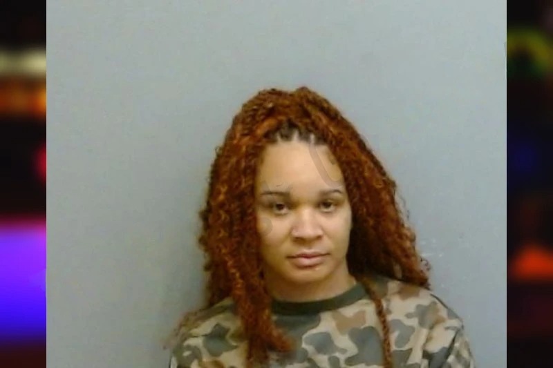 Ewanna Wilson Mugshots