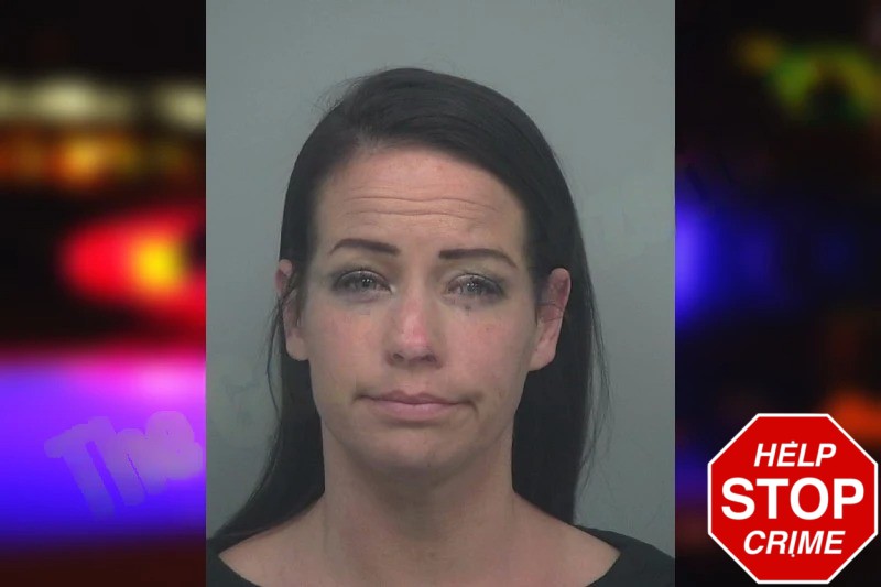 Fallyn Dossman mugshot – Gwinnett County , Georgia Fallyn Dossman mugshot