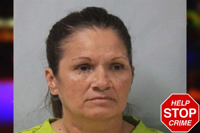 Fanice Stengell Mugshots