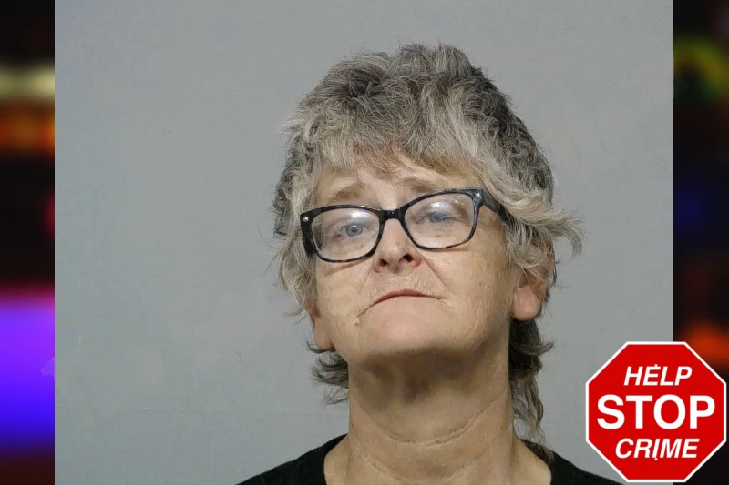 Fara Ferguson Mugshots