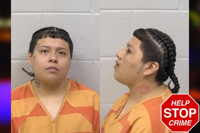 Fatima Arango Mugshots