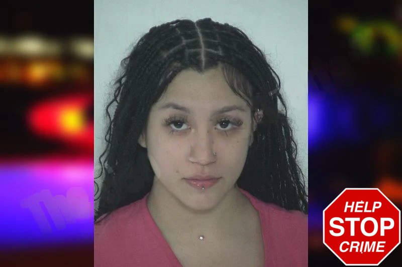 Fatima Buelna Castaneda Mugshots