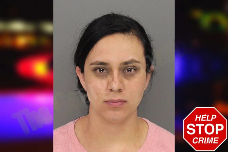 Faviola Alcantar mugshot – Cobb County , Georgia Faviola Alcantar