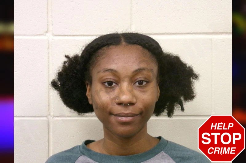 Faye Turner Mugshots