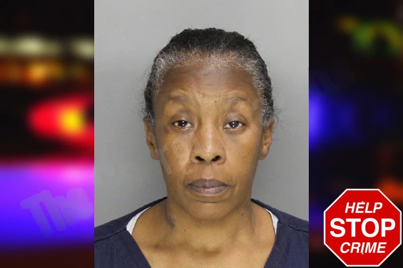 Felicia Hill Mugshots