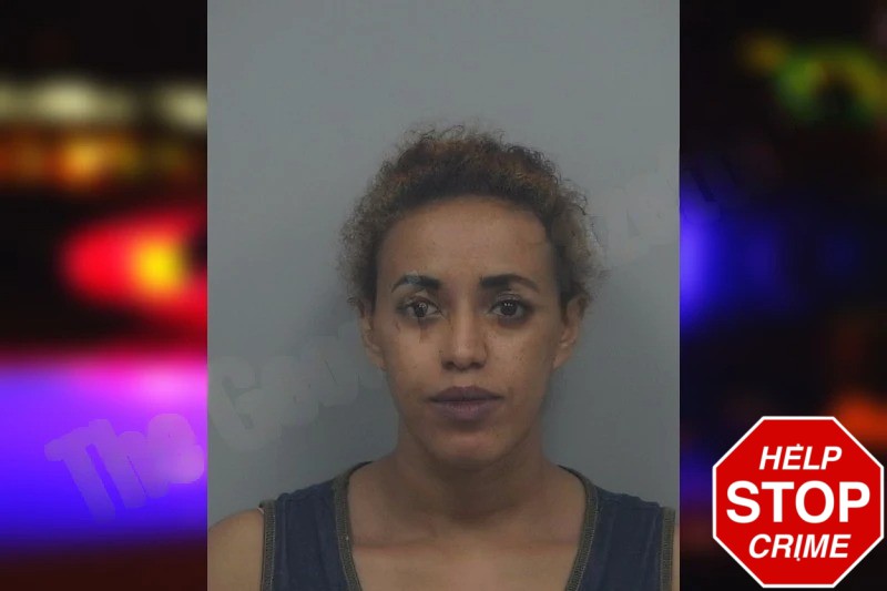 Fetlework Mengistu Mugshots