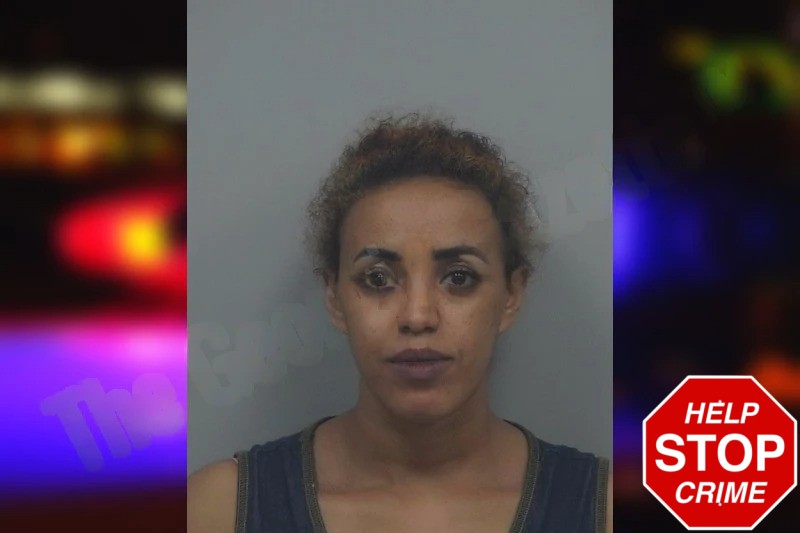 Fetlework Mengistu Mugshots