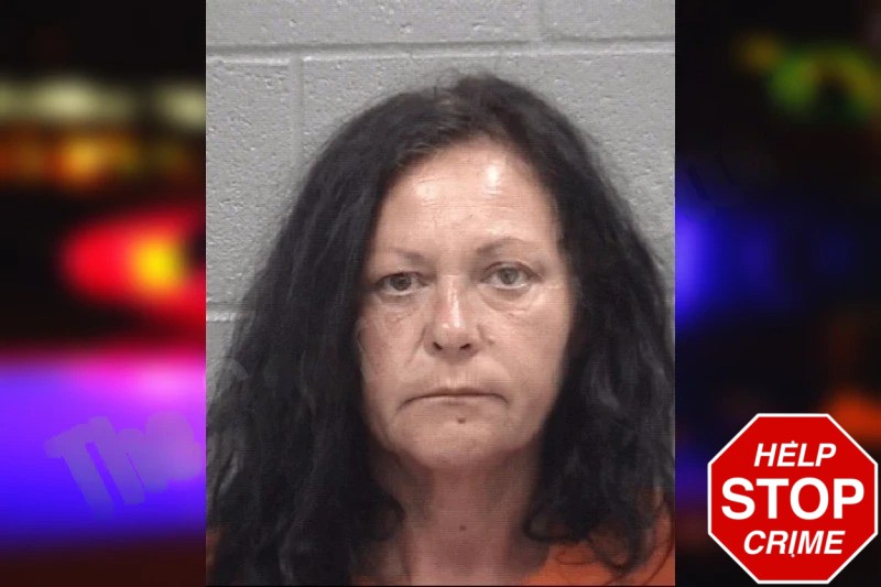 Florentina Lazar Mugshots