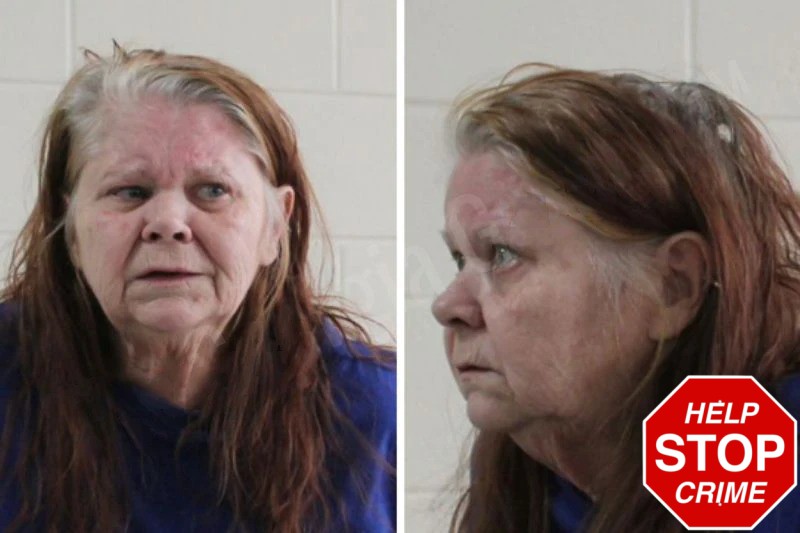 Frances Ledford Mugshots