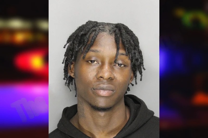 Freddrick Hammonds Mugshots