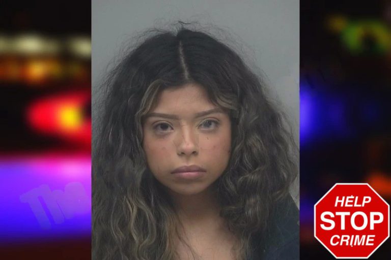 Frida Velasquez mugshot – Gwinnett County , Georgia Frida Velasquez