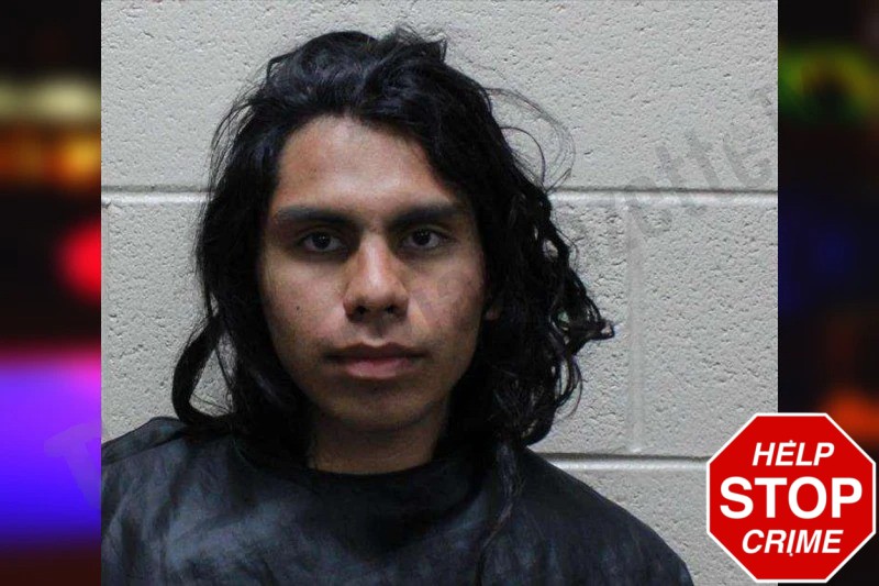 Gabriel Pocasangre-Alfaro Mugshots