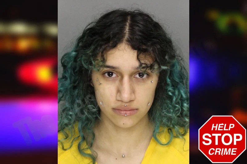 Gabriela Mora mugshot