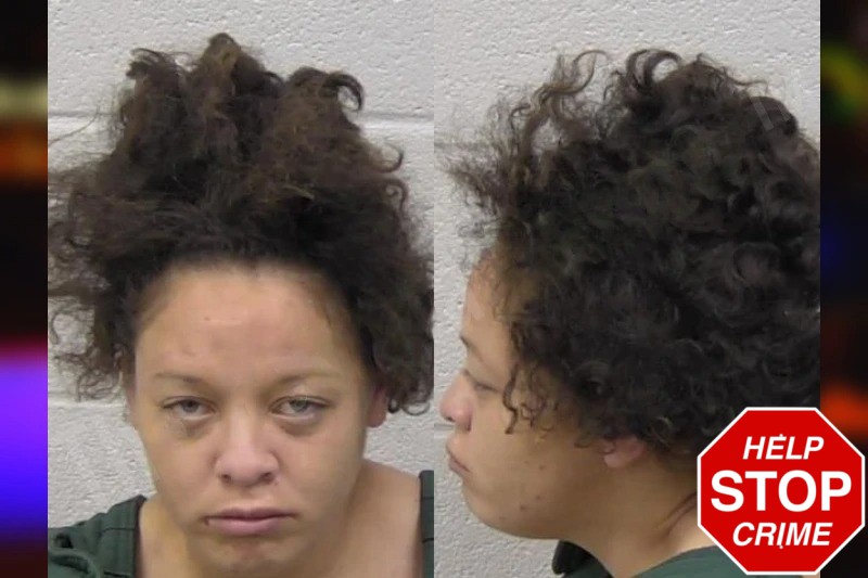 Gabriela Riojas mugshot – Paulding County , Georgia Gabriela Riojas mugshot