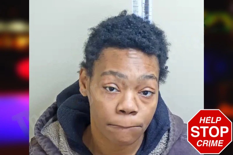 Gabriele Johnson Mugshots