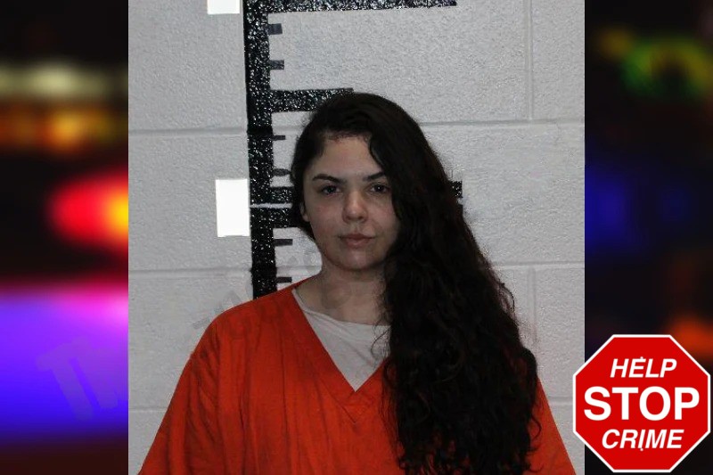 Gabrielle Reed mugshot – Murray County , Georgia Gabrielle Reed mugshot