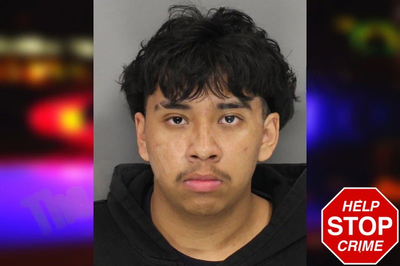 Gael Figueroa Mugshots