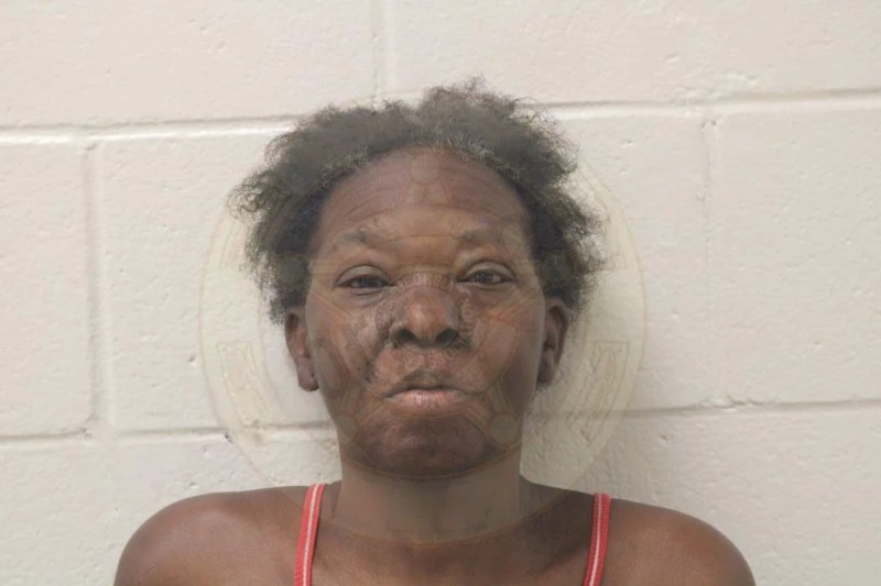 Gatonya Howard Mugshots