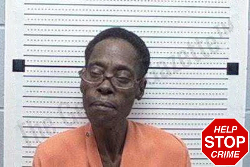 Georgia Stewart Mugshots