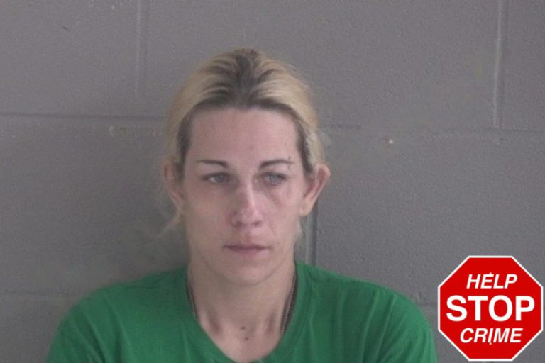 Georgia Turner mugshot – Brantley County , Georgia Georgia Turner