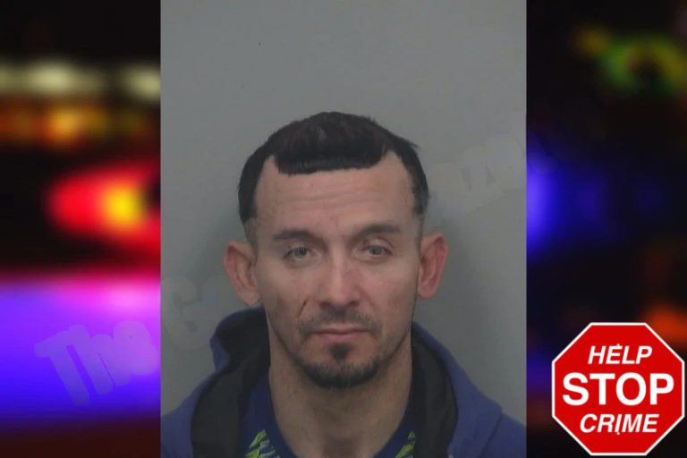 German Davilapauth mugshot – Gwinnett County , Georgia German Davilapauth