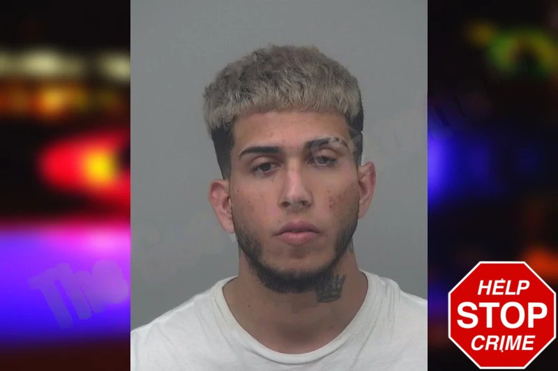 Gian Rizzon Dimeo mugshot – Gwinnett County , Georgia Gian Rizzon Dimeo mugshot