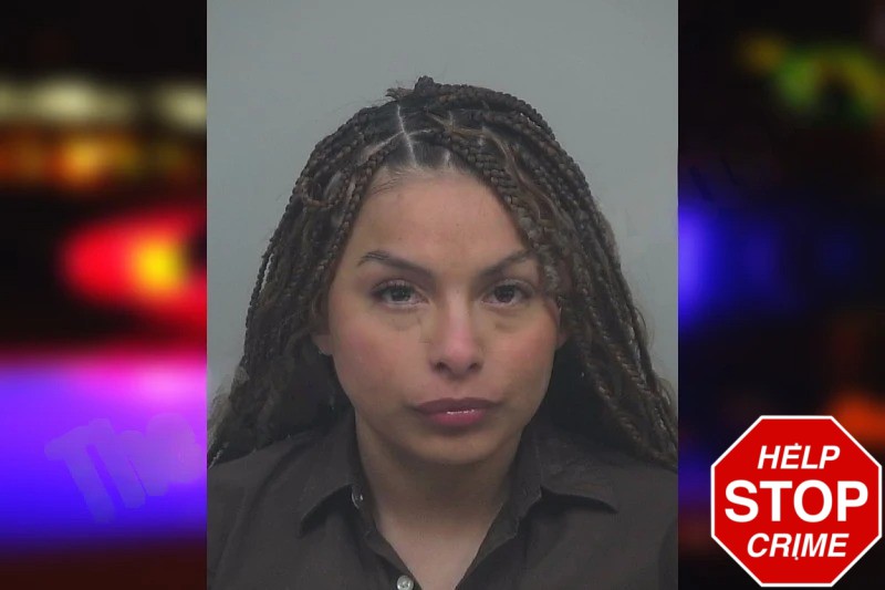 Gladys Castillo Mugshots
