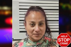 Guadalupe Tellez mugshot