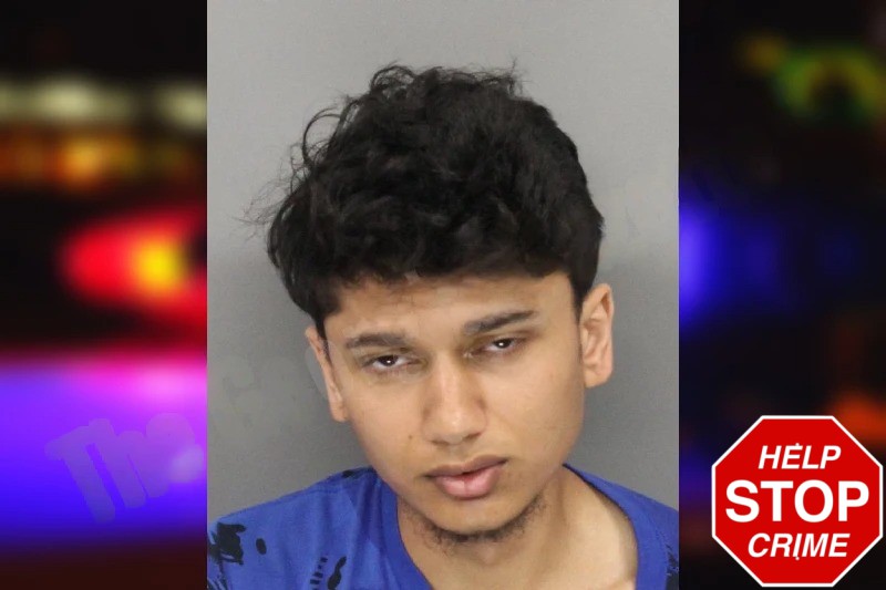 Haani Siddiqi Mugshots