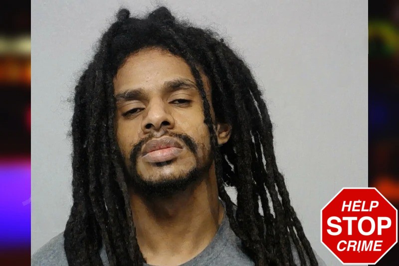 Haben Araya Mugshots