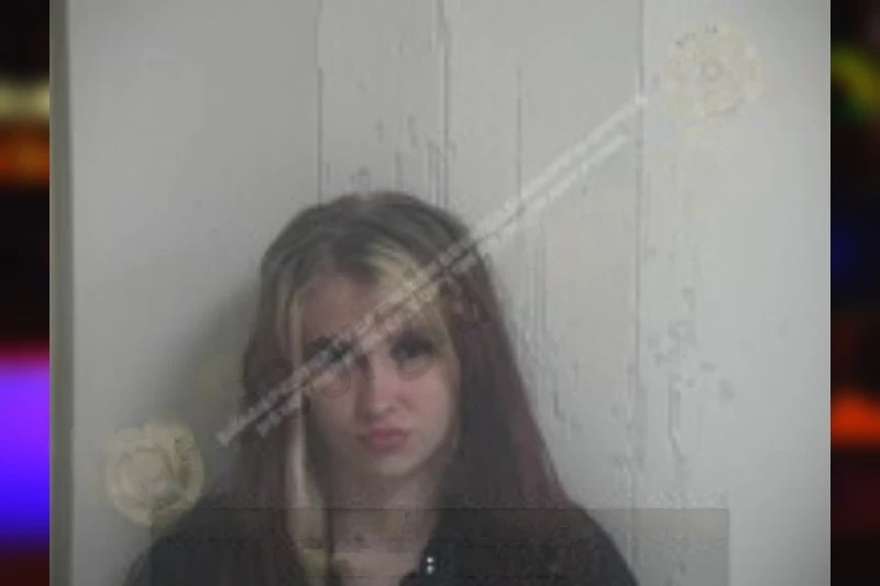 Hailey Cribb Mugshots