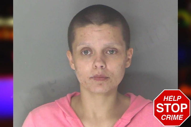 Haley Brewer mugshot