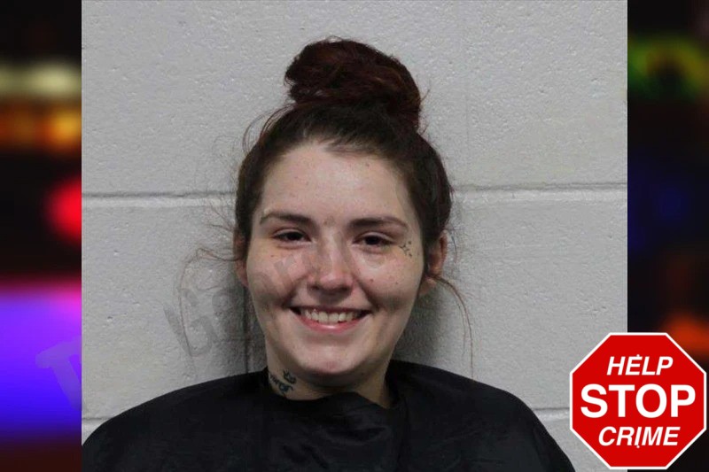 Haley Davidson Mugshots