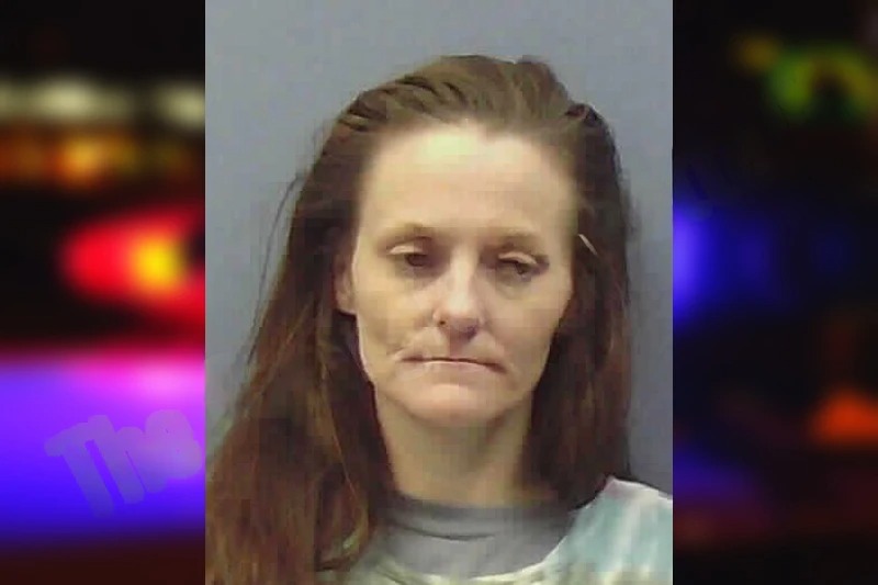 Haley Neal mugshot – Chattooga County , Georgia Haley Neal mugshot