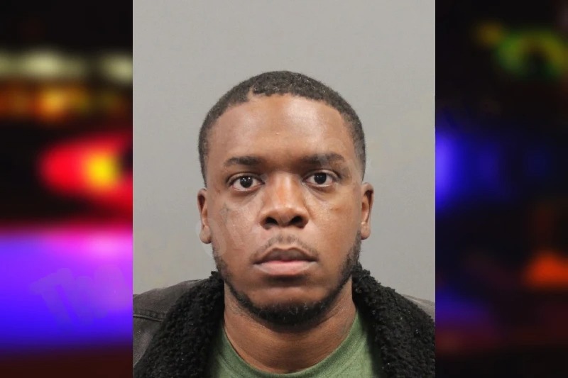 Hallie Dawn Mugshots