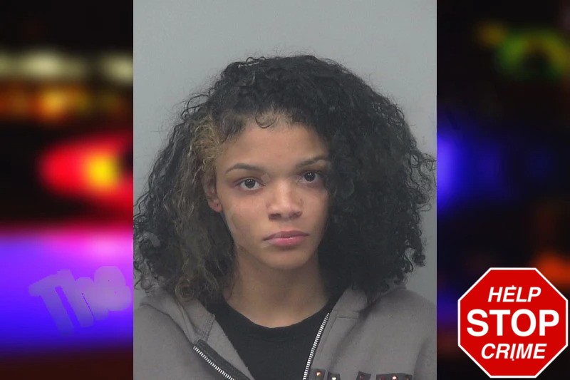 Hamil Bonilla Mugshots