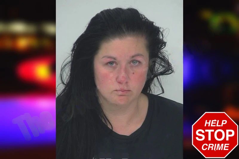 Hanna Hollar Mugshots