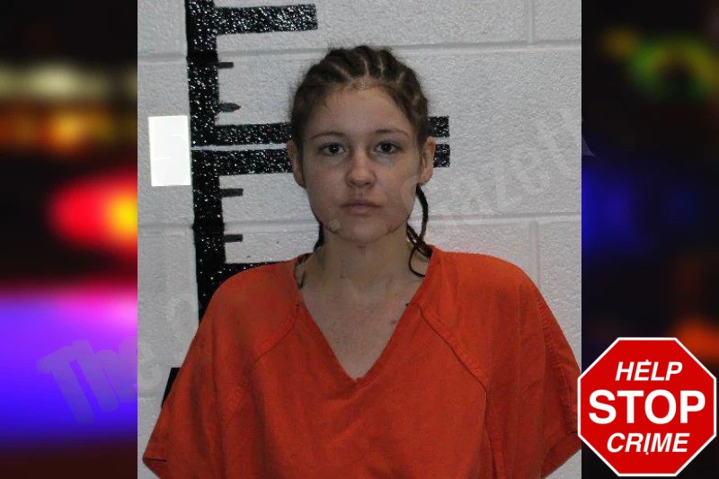 Hannah Chastain Mugshots