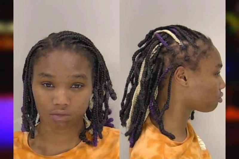 Hannah Jones Mugshots