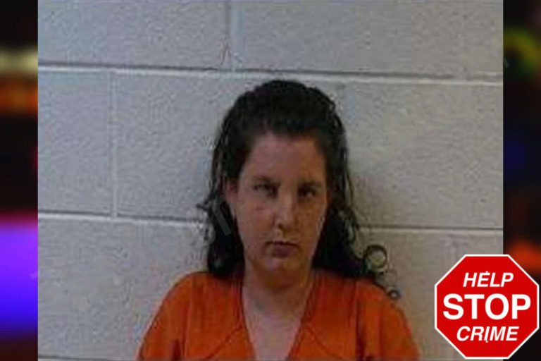 Hannah Shaw mugshot – Polk County , Georgia Hannah Shaw
