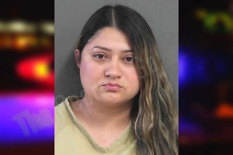 Hanssy Hernandez Mugshots