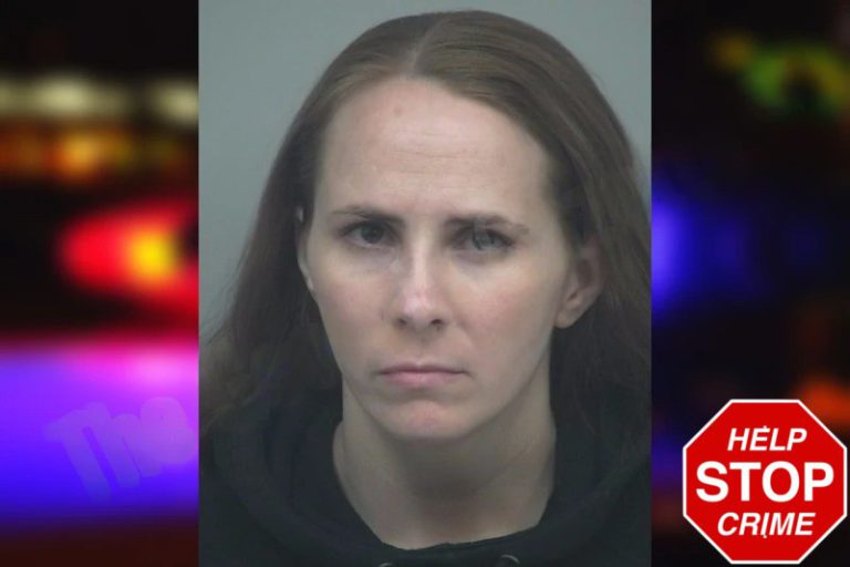 Haydie Reeves mugshot – Gwinnett County , Georgia Haydie Reeves