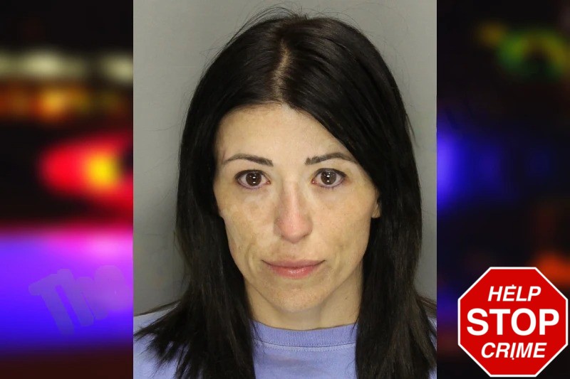 Heather Aldridge mugshot – Cobb County , Georgia Heather Aldridge mugshot