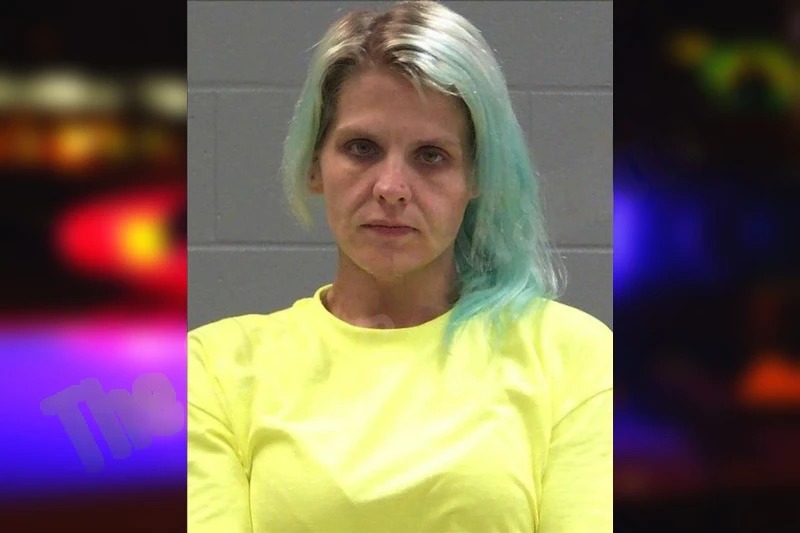 Heather Bounds Mugshots