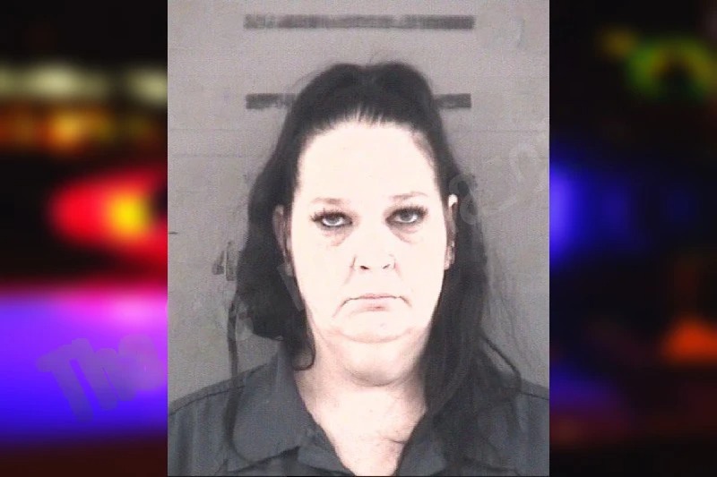 Heather Casey Mugshots